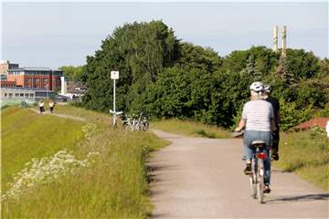 Radfahrer auf Radweg