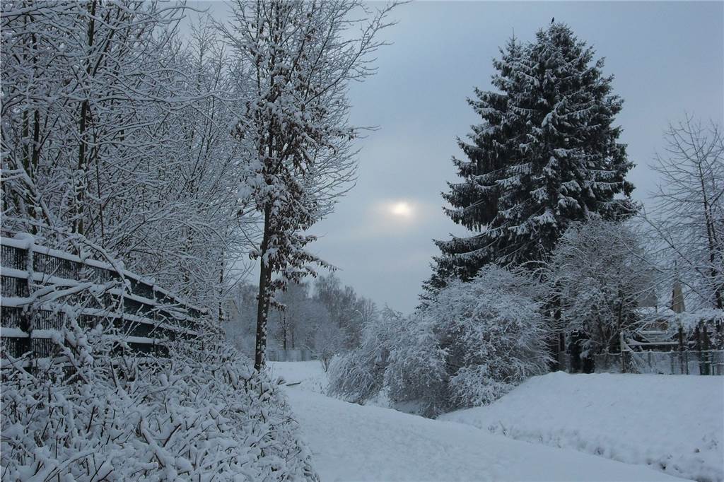 Gab es früher mehr Schnee? Ein Blick auf das Winterwetter in Selm Das Bild zeigt den Selmer Bach am Tag nach Tief "Petra" im Dezember 2010.