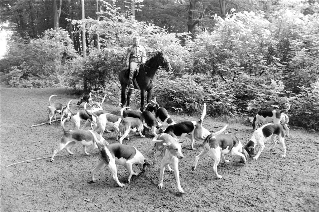 Wer erinnert sich noch? Autorin sucht Zeitzeugen zu Reitstall und Reithalle in Cappenberg Das Bild zeigt die Cappenberger Meute im Jahr 1981.