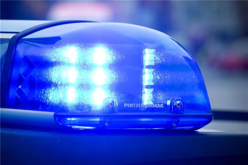Anwohner entdeckt große Schlange zwischen Mülltonnen Das Blaulicht an einem Polizeiauto leuchtet. Foto: Patrick Pleul/Archiv