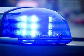 Das Blaulicht an einem Polizeiauto leuchtet. Foto: Patrick Pleul/Archiv