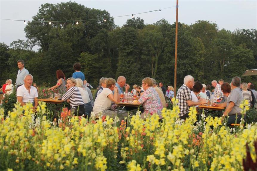 So war das Summer Special auf dem Hof Tenkhoff Das Blumenfeld bot eine außergewöhnliche Kulisse.