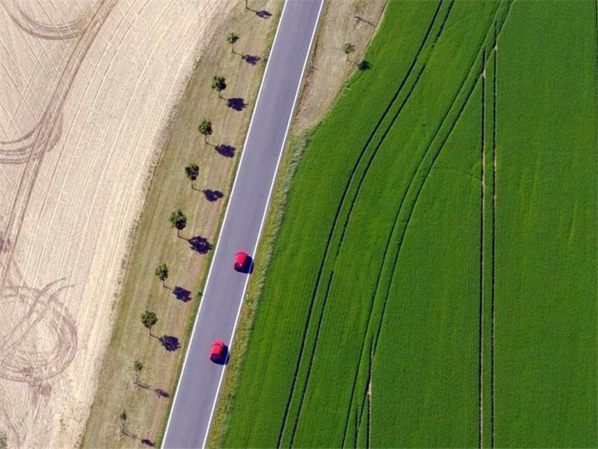 Bundesamt warnt: Agrarwende muss Vögel und Insekten retten Das Bundesamt für Naturschutz sieht die Artenvielfalt in der Agrarlandschaft im rasanten Sinkflug. Foto: Matthias Hiekel