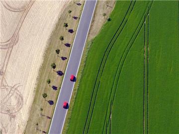 Das Bundesamt für Naturschutz sieht die Artenvielfalt in der Agrarlandschaft im rasanten Sinkflug. Foto: Matthias Hiekel