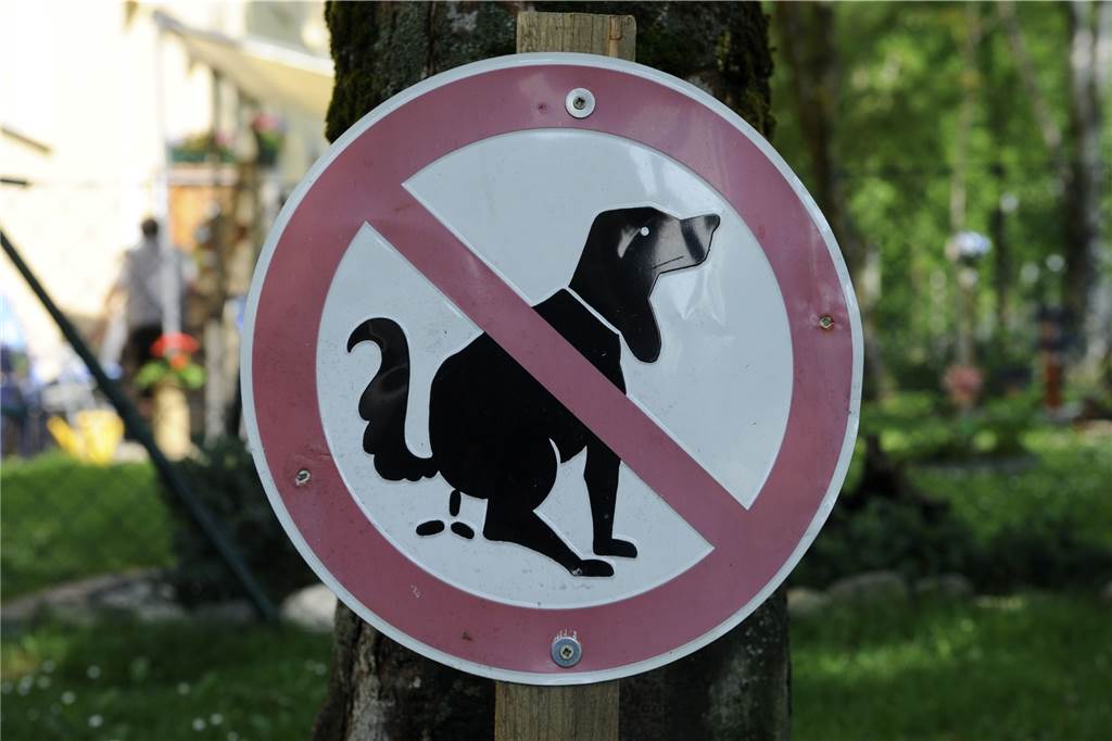 Beschissene Bilanz für Hundekot-Knöllchen: Ordnungsamt muss endlich härter vorgehen! Das Bußgeld für „Tretminen“ wurde in Werne von 35 auf 200 Euro erhöht. Bislang wurde das neue Bußgeld aber nicht einmal verhängt.