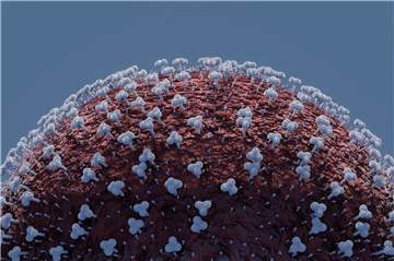 Das Coronavirus verbreitet sich weiterhin in einer nie dagewesenen Geschwindigkeit in Deutschland. Alle relevanten Daten signalisieren eine dramatische Verschlechterung. Es gibt nur eine winzige Ausnahme.