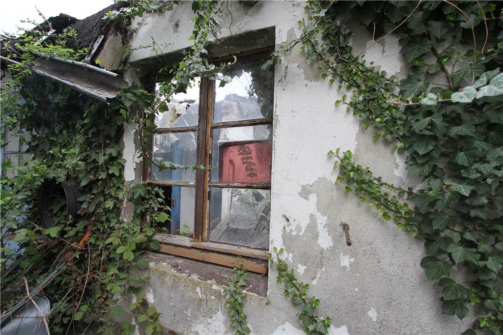 Haus steht kurz vor dem Verfall: Zwei Mieter blieben zurück Das Dach des Gartenhauses ist längst eingestürzt. Früher habe er dort Holz gelagert, erzählt der Mieter.