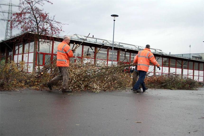 Käufer hat neue Pläne für Ex-Gartencenter Dehner Das Dehner-Gartencenter an der Siemensstraße: Seit etwa sieben Jahren ist hier nichts mehr passiert. Nun kommt Bewegung in die Sache.