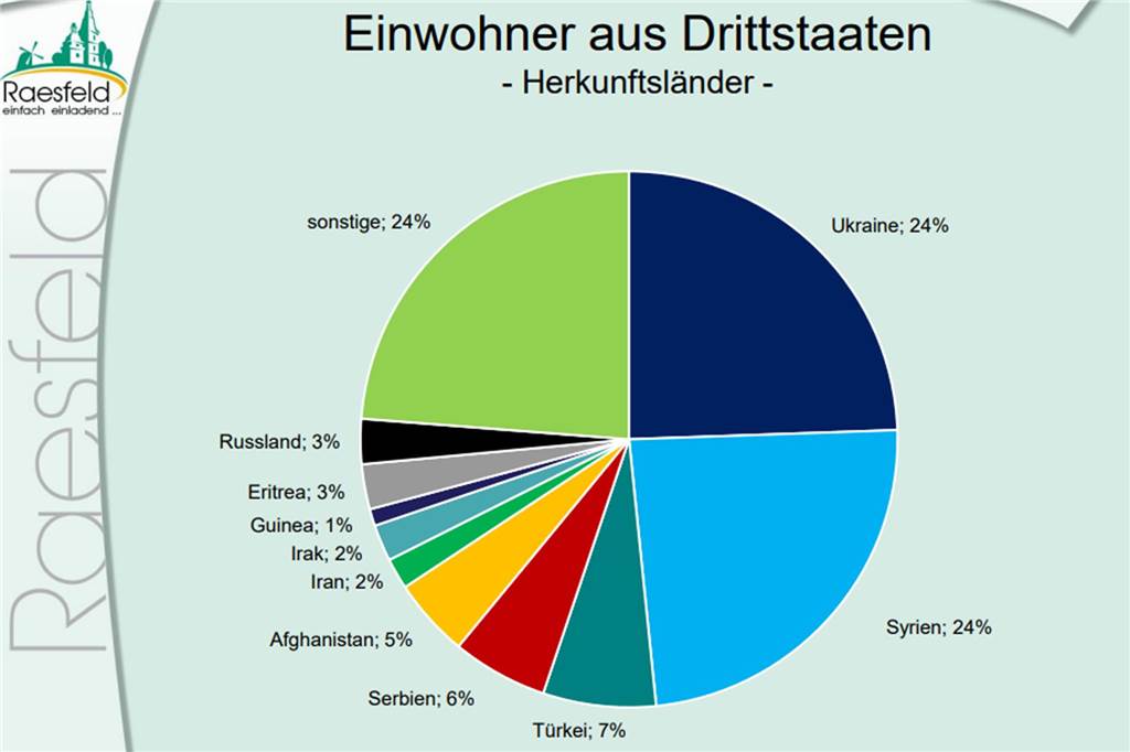 Das Diagramm zeigt die Anteile der Herkunftsländer, aus denen die Flüchtlinge nach Raesfeld gekommen sind.