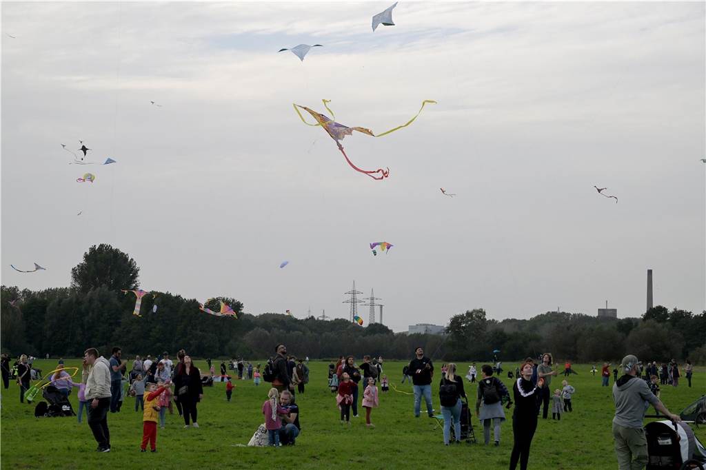 Das Drachenfest lockte bei strahlendem Sonnenschein am Samstag viele Besucher mit großen und kleinen Drachen an. Wir waren mit der Kamera dabei.