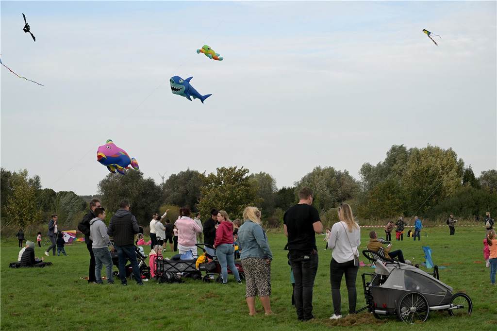 Das Drachenfest lockte bei strahlendem Sonnenschein am Samstag viele Besucher mit großen und kleinen Drachen an. Wir waren mit der Kamera dabei.
