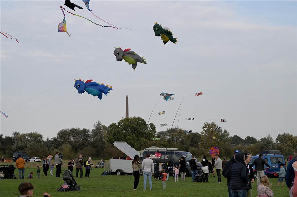 Das Drachenfest lockte bei strahlendem Sonnenschein am Samstag viele Besucher mit großen und kleinen Drachen an. Wir waren mit der Kamera dabei.