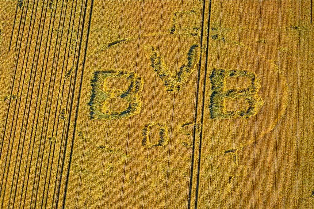 Kunstwerk wieder sichtbar: Das BVB-Logo sorgt erneut für Aufsehen BVB Logo, Grevel, Hof Mertin,