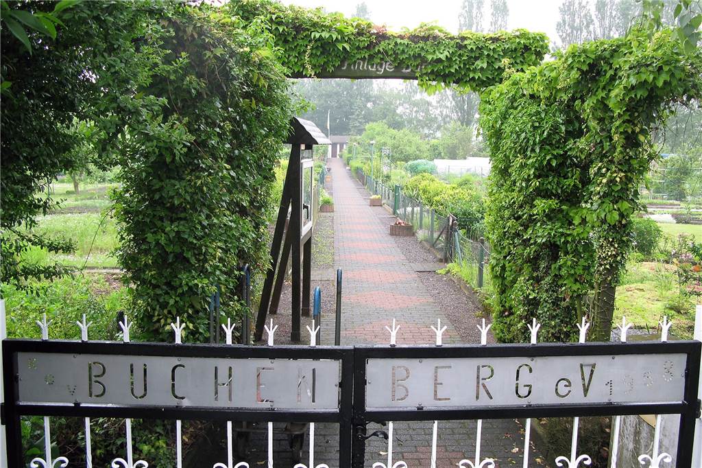 Streit zwischen Lüner Kleingärtnern und Vermieter droht zu eskalieren Das Eingangstor zur Anlage musste dem Staßenbau weichen, ebenso die beiden ersten Parzellen. Doch um den Erhalt der anderen Kleingärten wollen die Vereinsmitglieder am Buchenberg kämpfen.