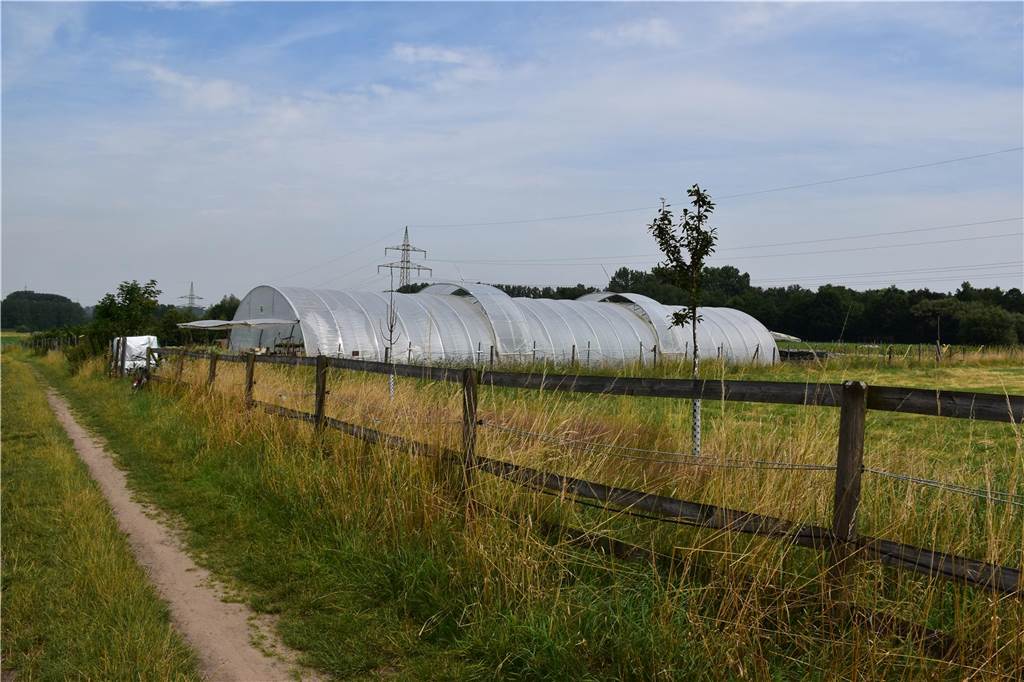 Eindrücke vom Gelände der solidarischen Landwirtschaft in Waltrop.