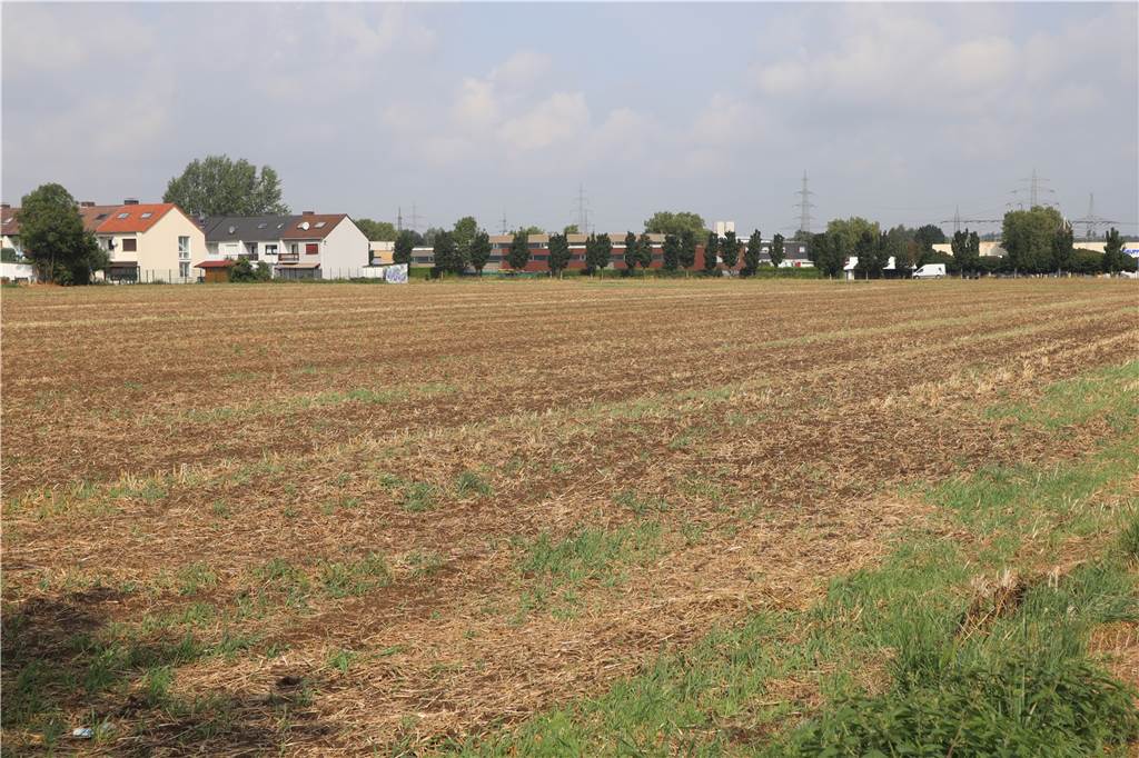 Gute Gerste, schlechter Raps: Die Erntebilanz der Bauern ist gemischt Das Feld zwischen der Send- und der Hannöverschen Straße, auf dem Gerste wuchs, ist bereits Anfang Juli abgeerntet worden.