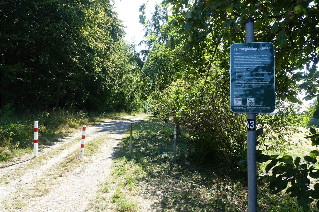 Müllsünder sind rund um Billmerich aktiv Das „Feldwegbiotop Kluse“ wird von Lastwagenfahrern gerne als Rastort genutzt. Zuletzt lagen dort außer Plastikflaschen und Verpackungsmüll immer wieder auch großflächige Müllberge.