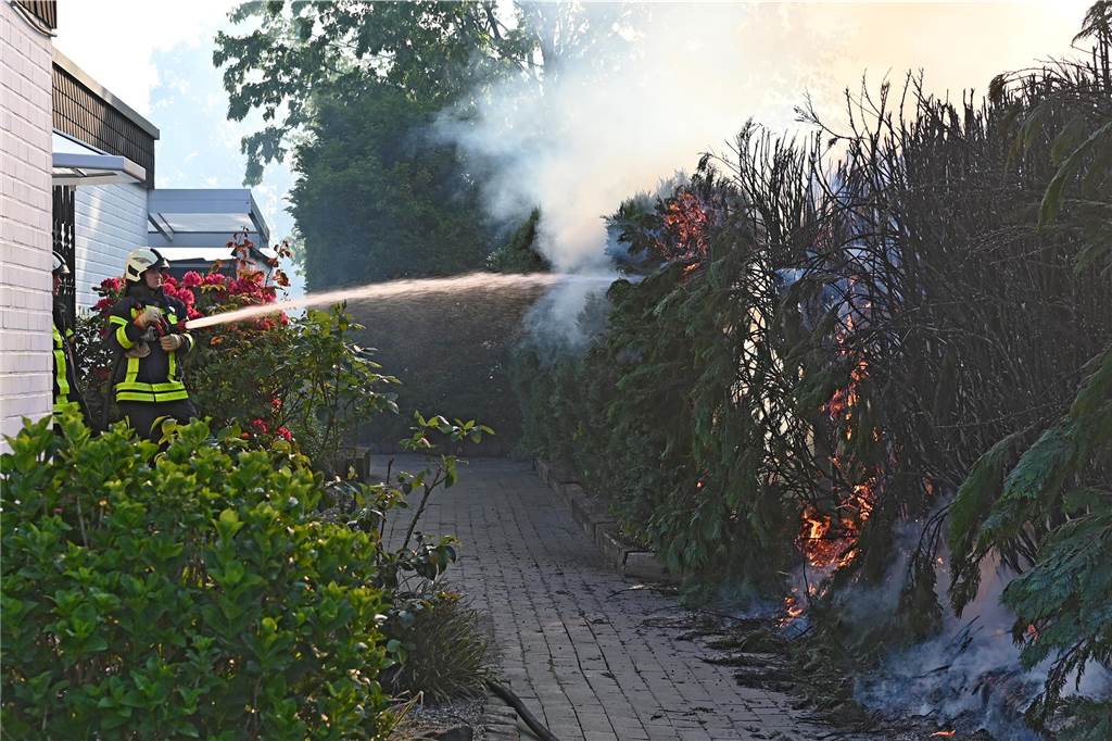 Brand bei Gartenarbeiten in Dorsten: Feuer breitete sich rasant aus Ein Feuerwehrmann spritzt Wasser in eine brennende Hecke.