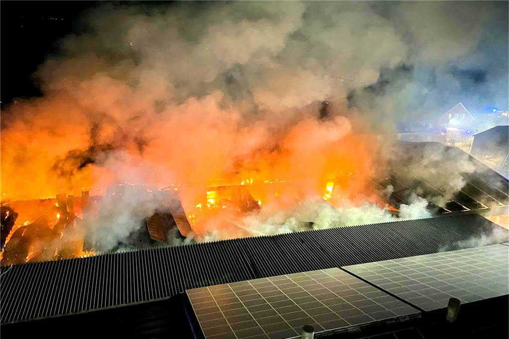11.000 Tiere: Betrieb erfüllte Anforderungen – mehr Brandschutz gefordert Das Feuer hatte sich rasend schnell in dem gesamten Stall ausgebreitet. Das Gebäude entsprach allen Vorschriften des Brand- und Tierschutzes.