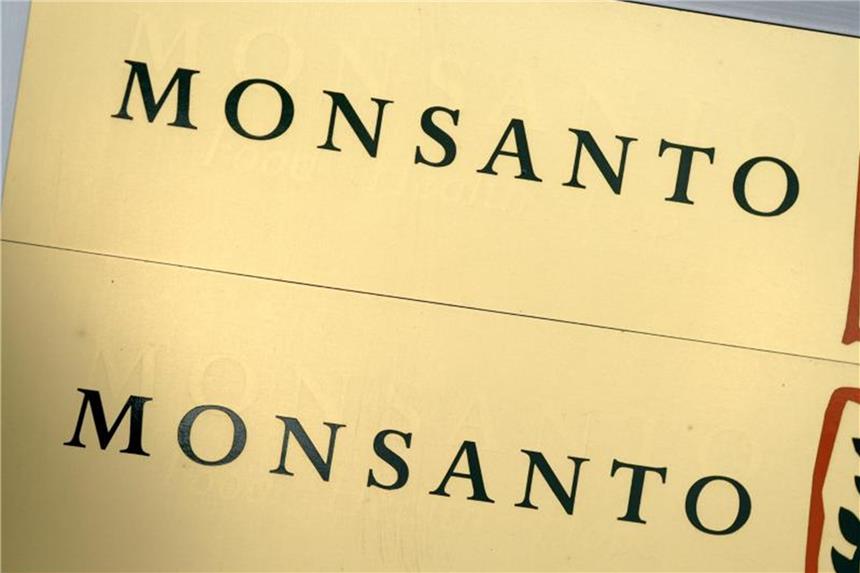 Das Firmenlogo des US-Saatgutkonzerns Monsanto. Foto: Franz-Peter Tschauner/Archiv
