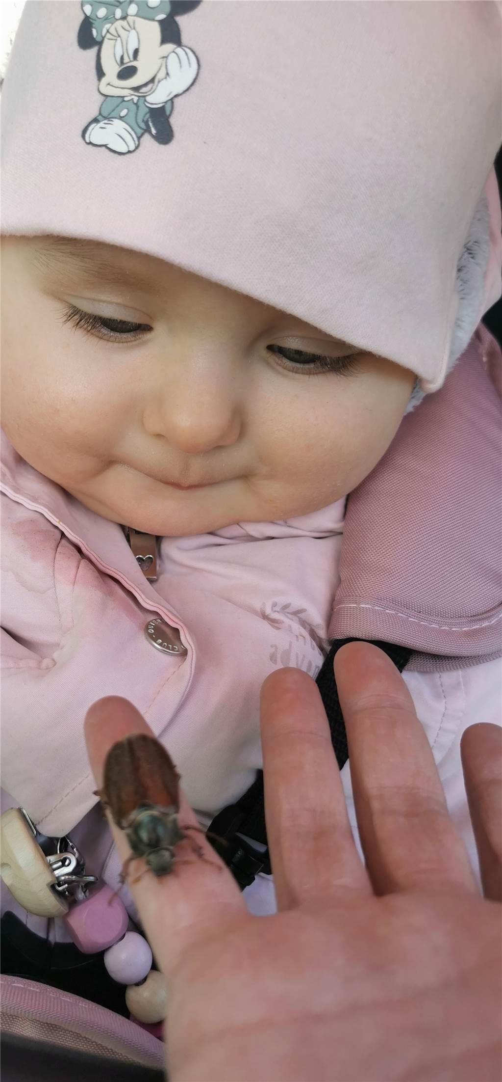 Wenig Maikäfer-Sichtungen in Lünen - Ist 2022 kein Maikäfer-Jahr? Das Foto dieses kleinen Mädchens, das zum ersten Mal in ihrem Leben einen Maikäfer bestaunt, stammt von Melanie Beyermann.