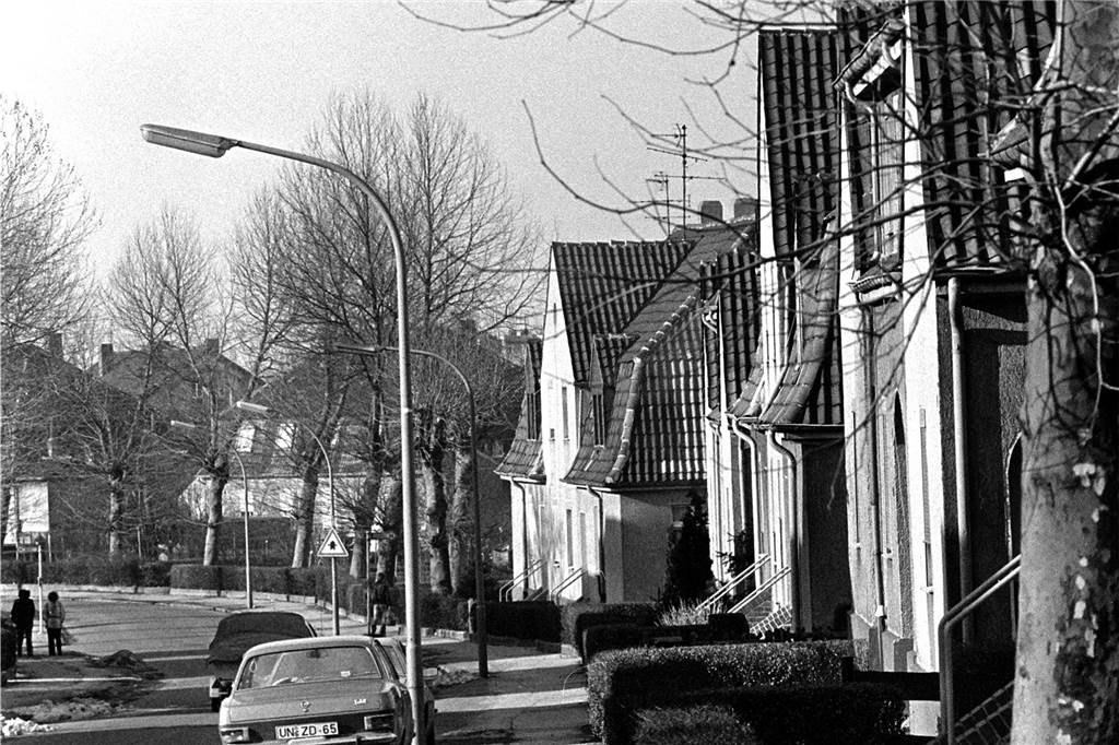 Das Foto zeigt die Kolonie Lünen-Süd.