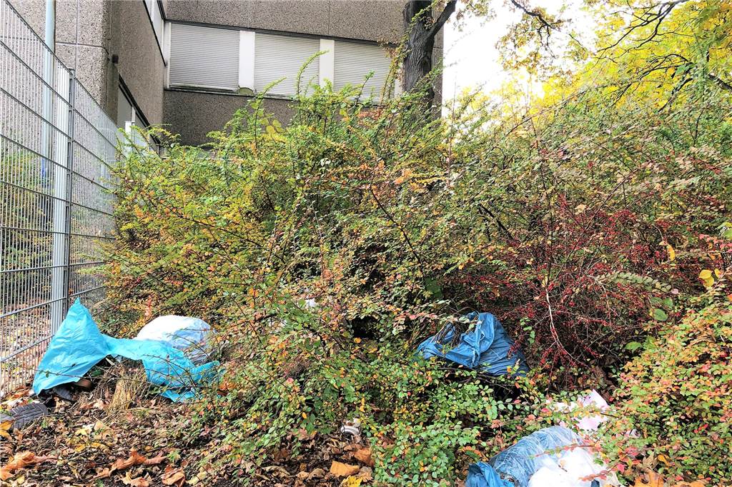 Hauptschule Bövinghausen: Stadtrat Wilde nennt die neuesten Details Das Gelände der ehemaligen Hauptschule entwickelt sich immer mehr zu einem Schandfleck. Auch Müll wird hier gerne entsorgt.