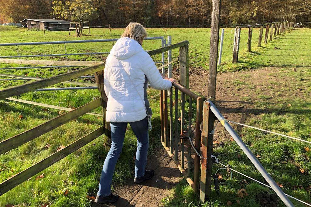 Freizeit-Tipp für den Lockdown: Alle Teile unserer Werner Wanderserie Das gibt's auf keinem anderen Werner Wanderweg: Einmal quer über die Weide - inklusive Tore öffnen und schließen.