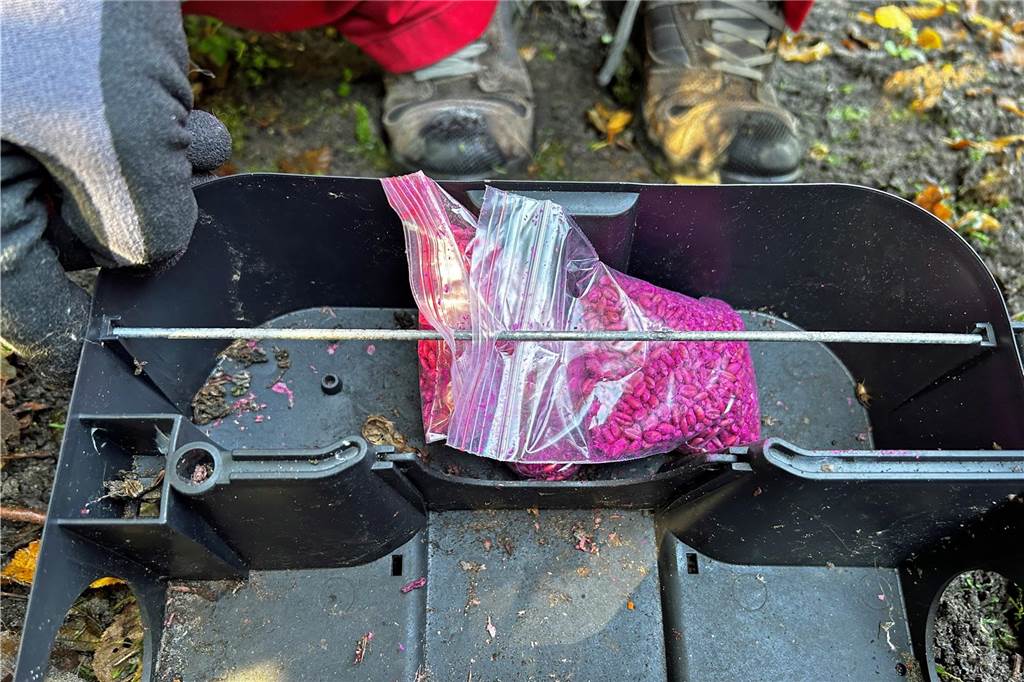 Rattengift riecht nach Vanille: So arbeitet ein Schädlingsbekämpfer Das Granulat riecht nach Vanille oder weißer Schokolade und darf farblich nicht an echte Lebensmittel erinnern.