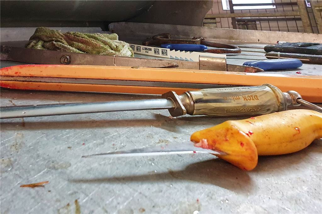 Das Handwerkszeug für das Häuten und grobe Zerteilen liegt auf einem Tisch im Schlachtraum bereit.