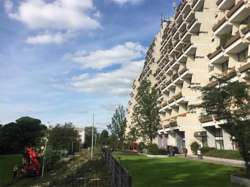 Schadensersatz: Darauf müssen Hannibal-Mieter achten Das Hannibal-Hochhaus am Vogelpothsweg in Oberdorstfeld ist geräumt worden.
