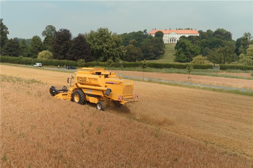 Bauern in Lünen klagen über Hitze Das heiße Wetter macht den Lüner Landwirten zu schaffen – bei der Getreideernte drohen große Verluste.
