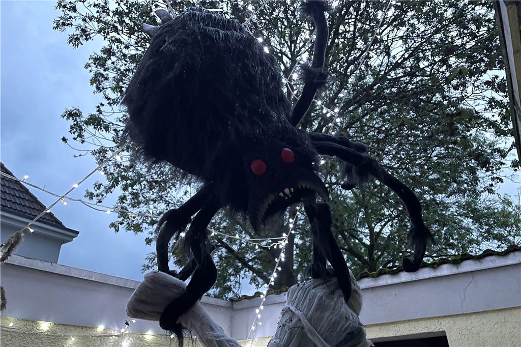 Sonja Schinks Halloween-Haus an der Recklinghauser Straße Das Horrorhaus an der Recklinghauser Straße 39 ist wieder gruselig geschmückt. Das Geisterschiff und allerlei andere Spukelemente stehen im Vorgarten von Sonja Schink.