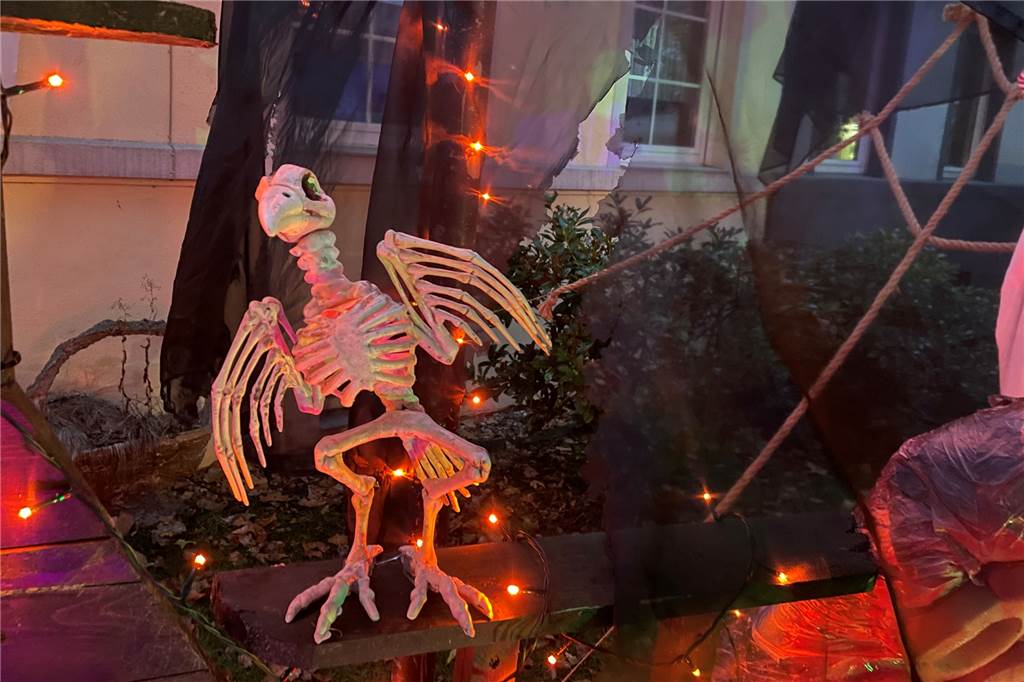 Das Horrorhaus an der Recklinghauser Straße 39 ist wieder gruselig geschmückt. Das Geisterschiff und allerlei andere Spukelemente stehen im Vorgarten von Sonja Schink.