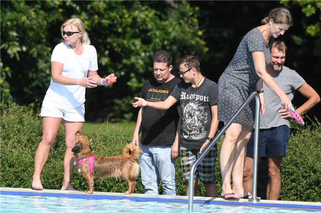 Letzte Chance im Parkbad: Freibadsaison endet bald mit Hundeschwimmen Das Hundeschwimmen ist der traditionelle Abschluss der Freibad-Saison in Castrop-Rauxel. Ehe das Wasser abgelassen wird, können die Tiere noch die Anlage genießen.