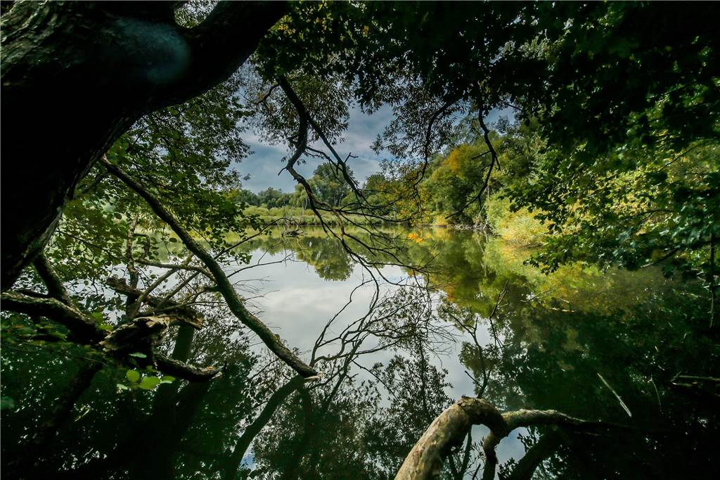 Ein altes Sofa am See: Umweltsünder in Dortmund werden immer dreister Das idyllische Naturschutzgebiet Mastbruch im Rahmer Wald wurde als Mülldeponie missbraucht.