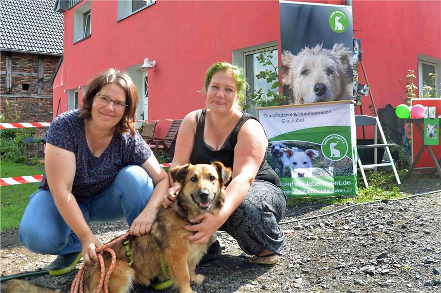 „Das ist der perfekte Tierschutzhof“, so Uta Schmieder (l.), die mit ihrer Tochter Anne Koehn (r.) und dessen Partner den Tierschutzhof Lünen an der Jägerstraße aufgebaut hat, um Hunden wie Sontie Sonnenschein (M.) zu helfen.