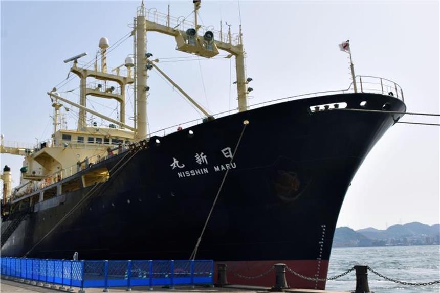 Das japanische Walfangschiff Nisshin Maru ankert im Hafen von Shimonoseki. Foto: kyodo