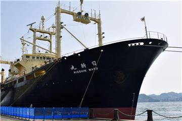 Das japanische Walfangschiff Nisshin Maru ankert im Hafen von Shimonoseki. Foto: kyodo