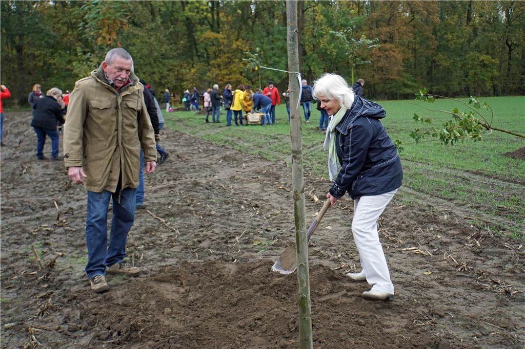 Ist der neue Bürgerwald etwa schon abgestorben? Zwei Bürger pflanzen einen Baum im Bürgerwald am bellingholz in Werne.