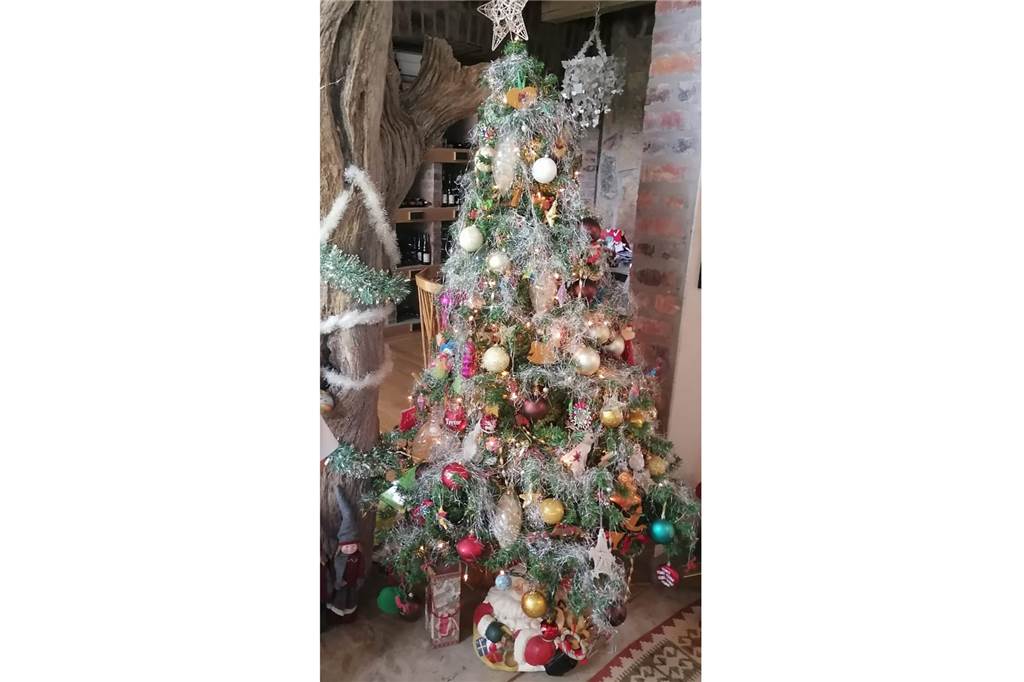 Auswanderin Jenna (38) feiert Weihnachten im südafrikanischen Busch Ein voll behangener Weihnachtsbaum mit Lametta, bunten Kugeln und Lichterketten steht bei Jenna Classen im Wohnzimmer im südafrikanischen Reservat.