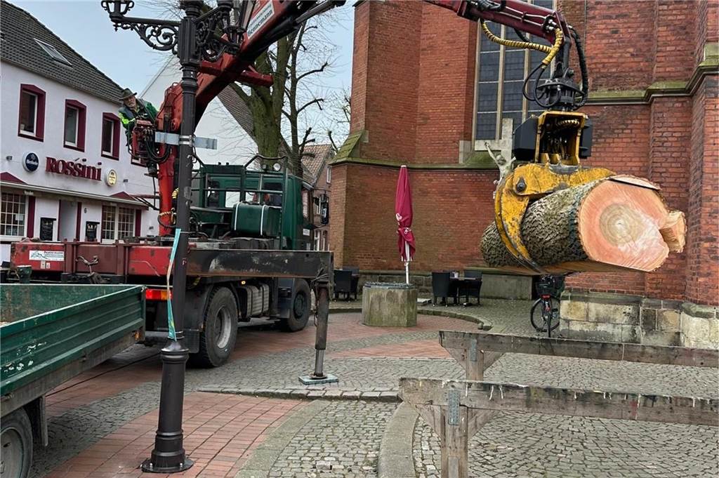 Eine Linde wird auf den Marktplatz gehoben.