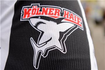 Das Logo der Kölner Haie ist auf einem Trikot zu sehen. Foto: Wolfram Kastl/Archiv