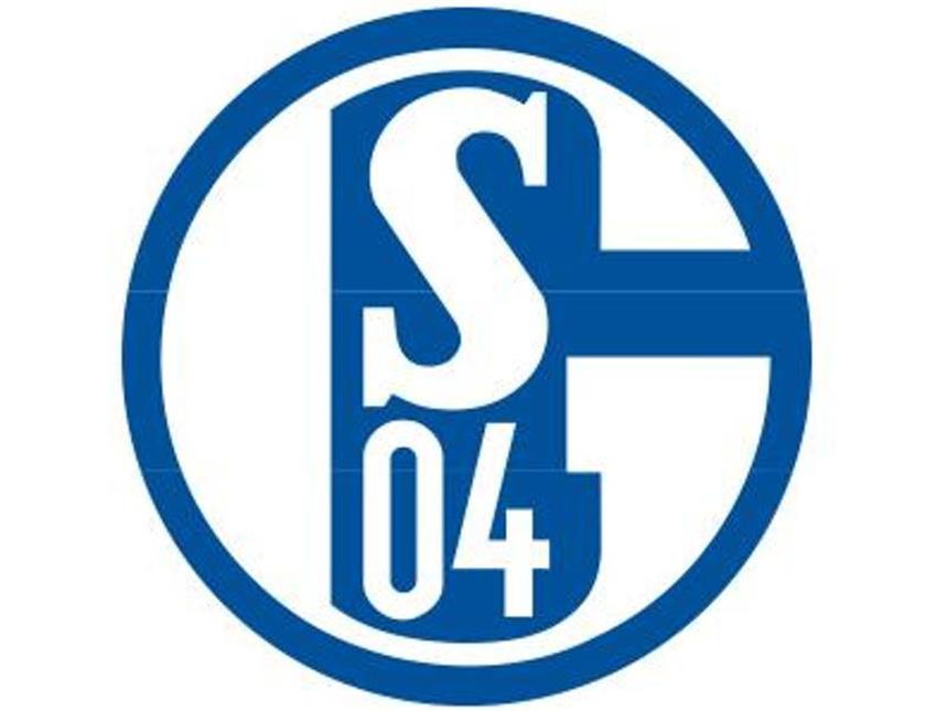 Das Logo des Fußball-Erstligisten FC Schalke 04. Foto: