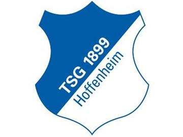 Das Logo des Fußball-Erstligisten TSG 1899 Hoffenheim. Foto: