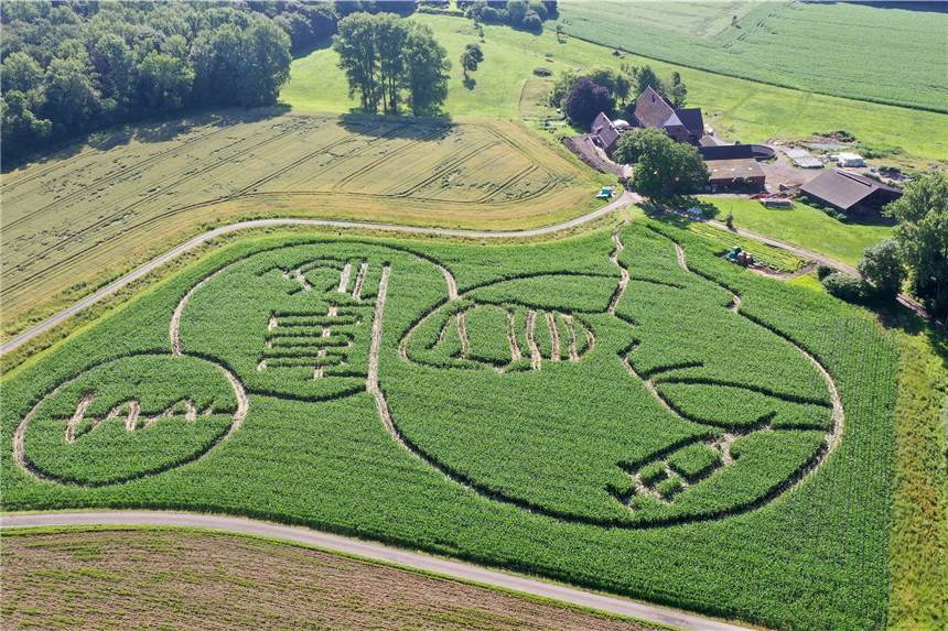 Bekanntes Maislabyrinth in Cappenberg: Öffnungsdatum steht Das Maislabyrinth auf dem Hof Lünemann ist nun fertig.