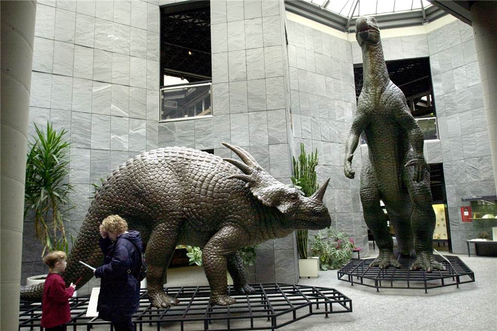 Im Botanischen Garten Rombergpark können Besucher künftig zwischen den Baumwipfeln wandern Das Modell des Styracosaurus (vorn), das im Naturkundemuseum ausgedient hat, könnte bald im Sumpfzypressenteich im Botanischen Garten Rombergpark ein neues Zuhause finden.