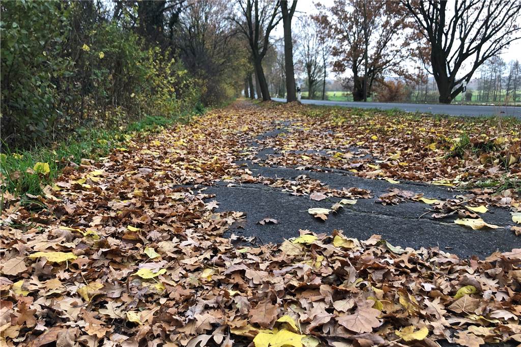 Fahrrad-Horror in Dortmund: Dieser Radweg ist brandgefährlich Das nasse Laub kann zu einer Rutschpartie führen, die Wellen im Boden sind schon Kindern zum Verhängnis geworden.