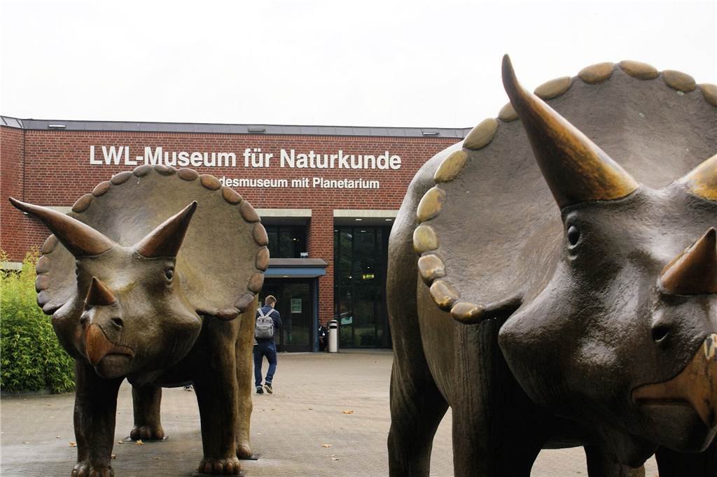Ausflugstipps für Familien in den Ferien: Moor, Zoo, Dreiländereck und mehr Das Naturkundemuseum in Münster eignet sich als Ziel für kleine Forscherinnen und Forscher.