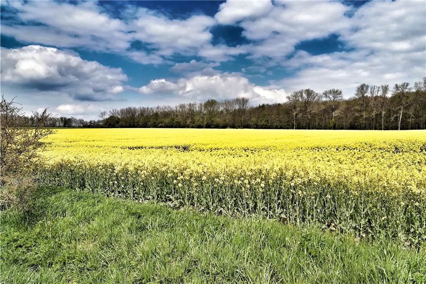 Natur und Lernen: Das Gute liegt quasi vor der Haustür in Nordkirchen Das Naturschutzgebiet ist einen Besuch wert.
